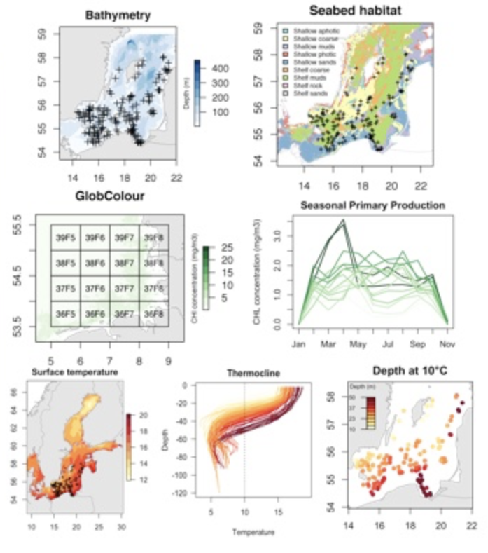 Spatial R